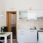 Studio Ari